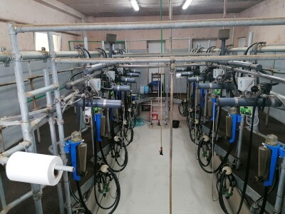 Bosanska farma od milion maraka - krave s nanogicama, domaćin u papučama