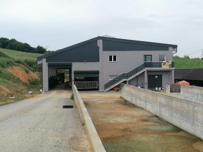 Bosanska farma od milion maraka - krave s nanogicama, domaćin u papučama