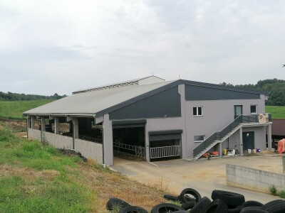 Bosanska farma od milion maraka - krave s nanogicama, domaćin u papučama