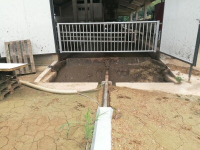 Bosanska farma od milion maraka - krave s nanogicama, domaćin u papučama