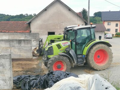 Bosanska farma od milion maraka - krave s nanogicama, domaćin u papučama
