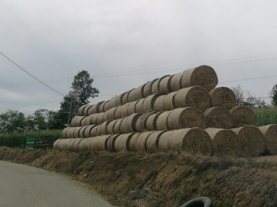 Bosanska farma od milion maraka - krave s nanogicama, domaćin u papučama