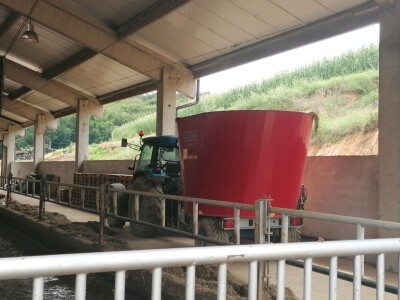 Bosanska farma od milion maraka - krave s nanogicama, domaćin u papučama