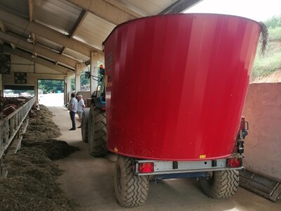 Bosanska farma od milion maraka - krave s nanogicama, domaćin u papučama