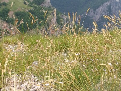 Bosanski biser - selo sa stotinjak ljudi i 5.000 ovaca
