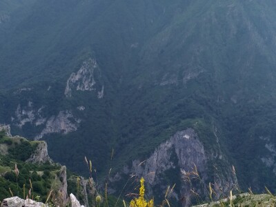 Bosanski biser - selo sa stotinjak ljudi i 5.000 ovaca