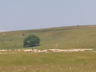 Bosanski biser - selo sa stotinjak ljudi i 5.000 ovaca