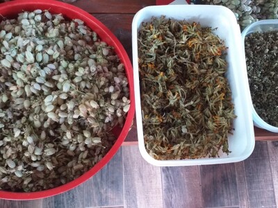 Bosanski biser - selo sa stotinjak ljudi i 5.000 ovaca