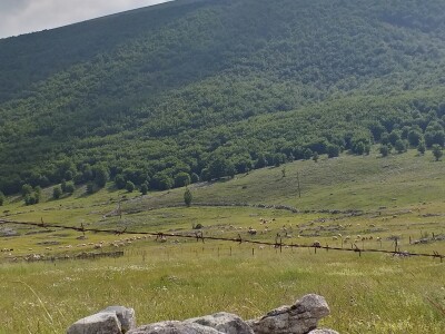 Bosanski biser - selo sa stotinjak ljudi i 5.000 ovaca