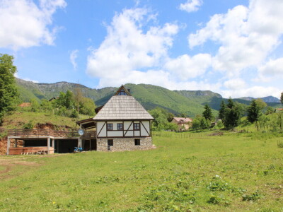 Bosanski inat Dragana Vukovića: Krenuo iz hobija, danas na farmi 1.000 grla stoke