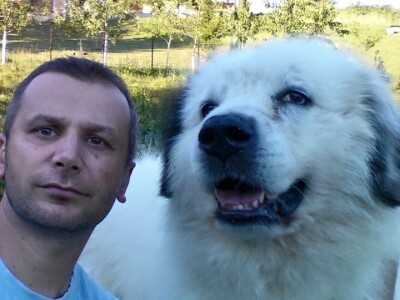 Bosanskohercegovačka autohtona pasmina pasa tornjak