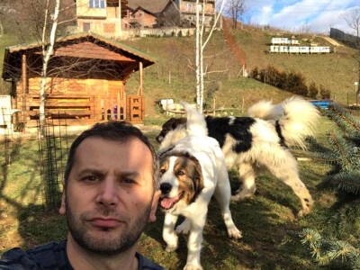 Bosanskohercegovačka autohtona pasmina pasa tornjak