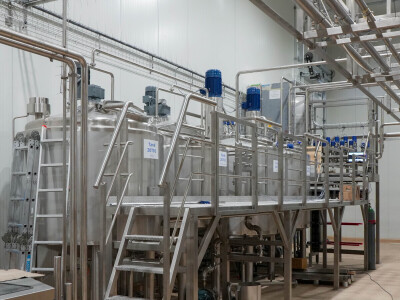 Bosna i Hercegovina dobila prvi domaći sladoled i sirovine su naše