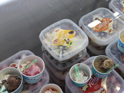 Bosna i Hercegovina dobila prvi domaći sladoled i sirovine su naše