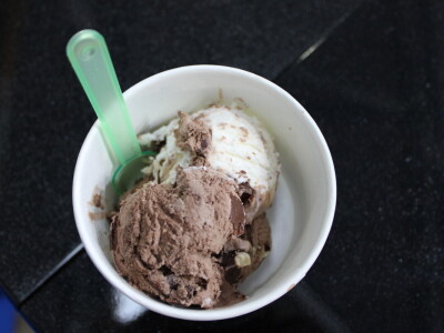 Bosna i Hercegovina dobila prvi domaći sladoled i sirovine su naše