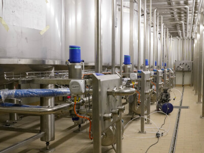 Bosna i Hercegovina dobila prvi domaći sladoled i sirovine su naše