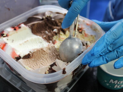 Bosna i Hercegovina dobila prvi domaći sladoled i sirovine su naše