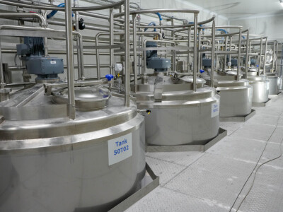 Bosna i Hercegovina dobila prvi domaći sladoled i sirovine su naše