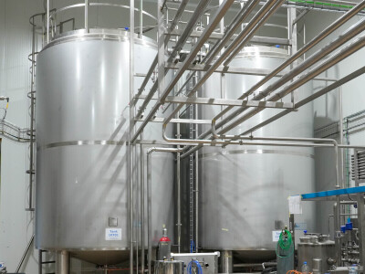 Bosna i Hercegovina dobila prvi domaći sladoled i sirovine su naše