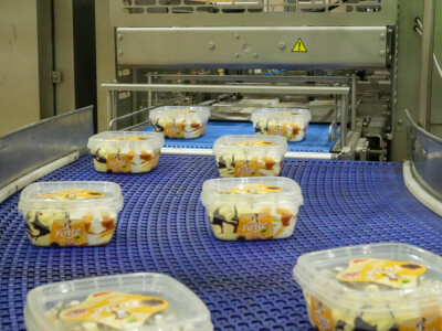 Bosna i Hercegovina dobila prvi domaći sladoled i sirovine su naše