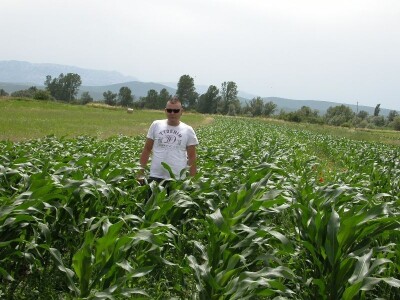 Bože Banić na parceli svog mladog kukuruza - diči se bogatstvu svih žitarica kojih će ove godine proiuvesti oko 60 tona