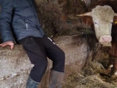 Bože Vukas (12) izumio igru Neradnik