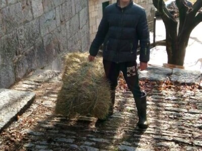 Bože Vukas (12) izumio igru Neradnik