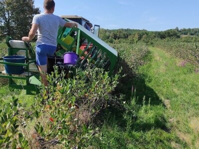 Božić u glinskom kraju Božić u glinskom kraju