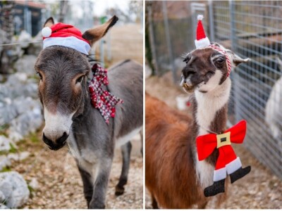 Božićno selo Gornji Dolac