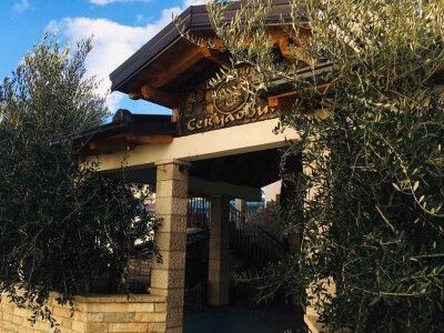 Božidar Sekulović: Dobro vino je rezultat preciznog i posvećenog rada od vinograda do čaše