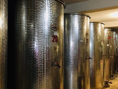 Božidar Sekulović: Dobro vino je rezultat preciznog i posvećenog rada od vinograda do čaše