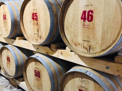 Božidar Sekulović: Dobro vino je rezultat preciznog i posvećenog rada od vinograda do čaše