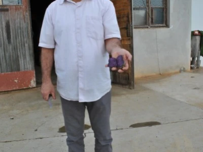 Božo Grginović