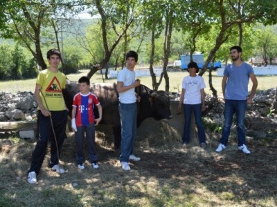 Braća Varvodići s majkom Ankicom i bikom Jarom