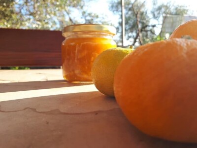 Bračanska maslina na bosanski način: Kako se porodica Kantar obrela u svijetu organskog ulja i marmelade