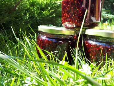 Bračanska maslina na bosanski način: Kako se porodica Kantar obrela u svijetu organskog ulja i marmelade