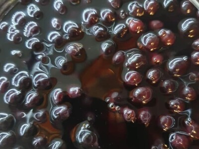 Bračanska maslina na bosanski način: Kako se porodica Kantar obrela u svijetu organskog ulja i marmelade