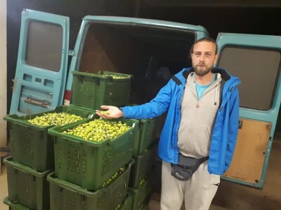 Bračanska maslina na bosanski način: Kako se porodica Kantar obrela u svijetu organskog ulja i marmelade