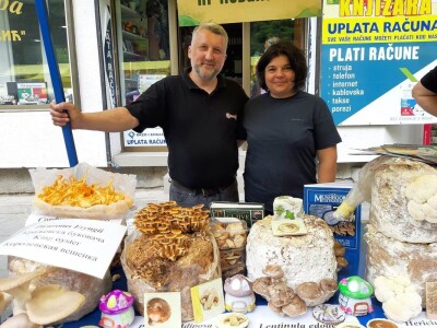 Bračni par Novaković