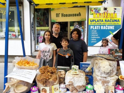 Bračni par Novaković