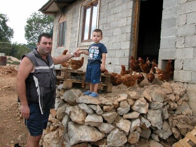 Uzgajivač koka hrvatica Branimir Strizirep i njegov sin Uzgajivač koka hrvatica Branimir Strizirep i njegov sin