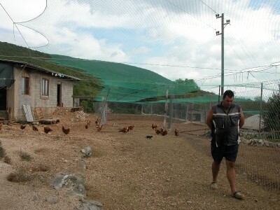 Branimir Strizirep na obiteljskoj farmi uzgoja koka hrvatica u Koprivnu Branimir Strizirep na obiteljskoj farmi uzgoja koka hrvatica u Koprivnu