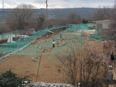 Branimir Strizrep Branimir Strizrep