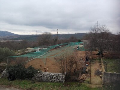 Branimir Strizrep Branimir Strizrep