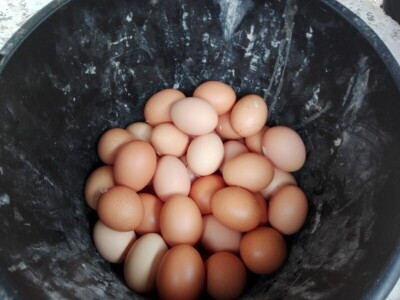 Branimir Strizrep Branimir Strizrep