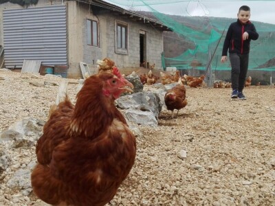 Branimir Strizrep Branimir Strizrep