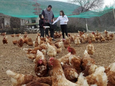 Branimir Strizrep Branimir Strizrep