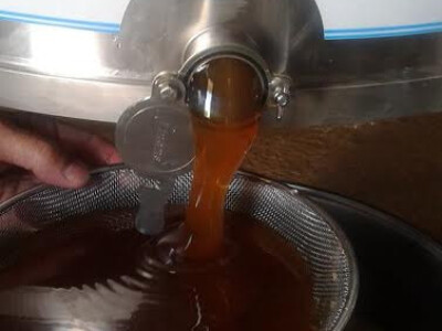 Povezali pčelarstvo s turizmom! Turisti sami vade med!