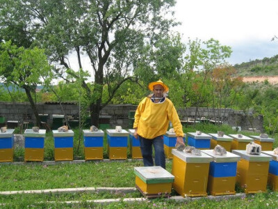 Povezali pčelarstvo s turizmom! Turisti sami vade med!