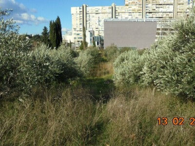 BRANITELJSKE SOCIJALNO-RADNE ZADRUGE PAUK-ČEKA I VRLIČANKA